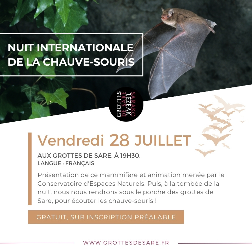 Nuit internationale de la chauve-souris - COMPLET