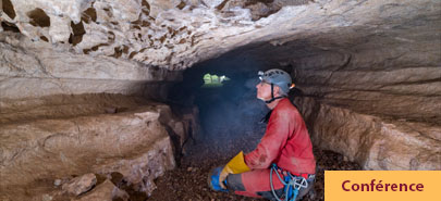 Exploration de la faune souterraine