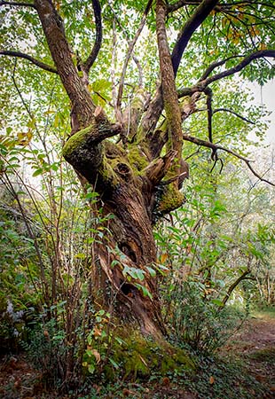 Hiking - the caves of Sare